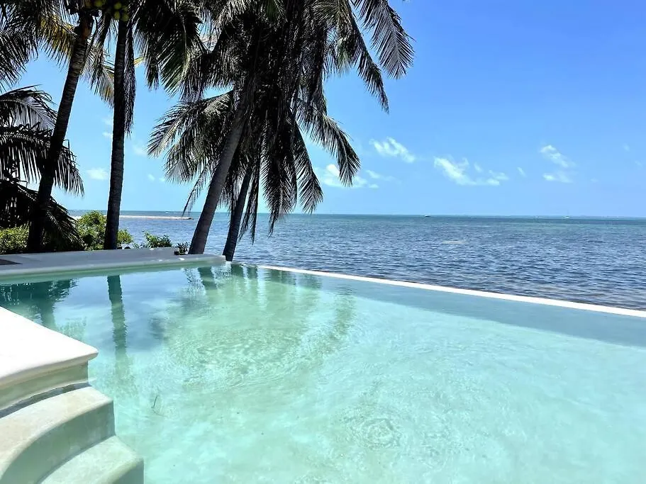 6Br Modern Oceanfront Villa With Infinity Pool By Solmar Rentals Cancun 0*,